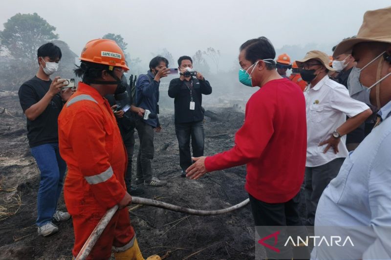 Wamenko Bidang Pangan Tinjau Karhutla Kalteng, Simbol Kehadiran Pemerintah