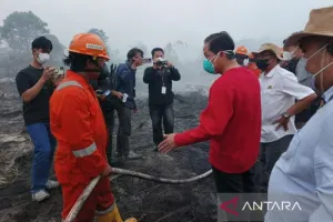 Wamenko Pangan Tinjau Karhutla di Kalteng, Pemerintah Tegaskan Komitmen dalam Tangani Kebakaran