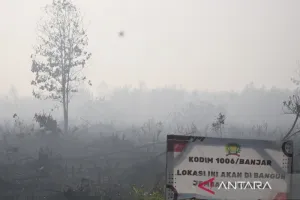 Bupati Sintang Imbau Warga untuk Peduli dan Hentikan Bakar Hutan dan Lahan