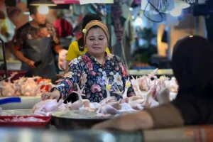 Harga Daging Ayam Ras di Dua Kabupaten di Riau di Atas Rp40.000/Kg 