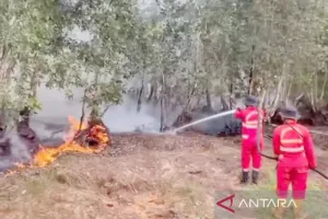 Karhutla Kalimantan Makin Mengkhawatirkan, BNPB Perkuat Operasi Modifikasi Cuaca dan Armada Pemadaman