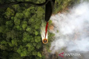 Karhutla Makin Mengancam, Kemenhub Fasilitasi Pesawat Asing untuk Perkuat Penanganan