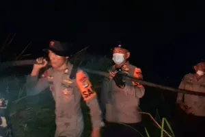 Kebakaran di Taman Nasional Way Kambas Berhasil Dipadamkan, Polda Lampung: Tim Pastikan Tak Ada Titik Api Lain 