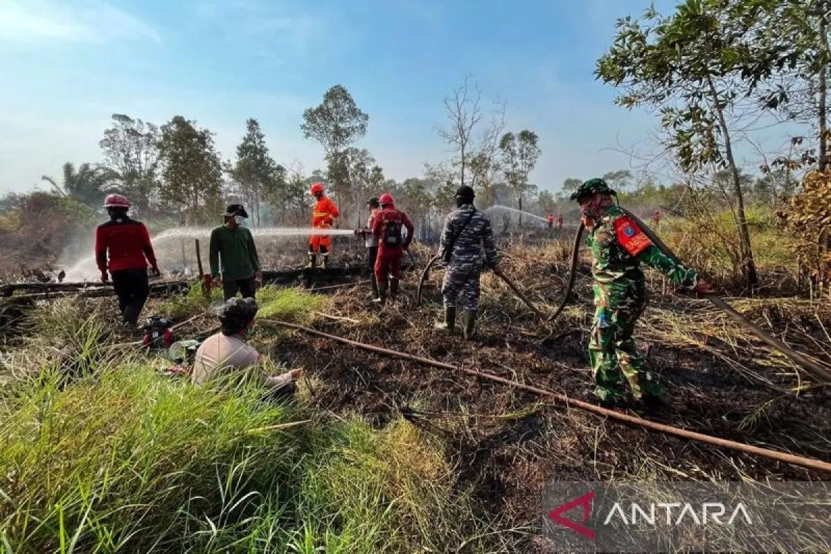 Kemenhut Pastikan Kebakaran Hutan di TN Way Kambas Sudah ...
