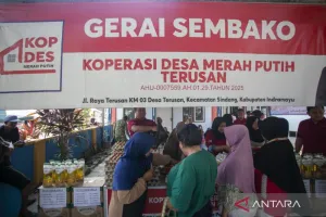 Koperasi Harus Bangkit! Fokus Kembangkan Bisnis Jadi Kunci Kemajuan