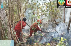 Manggala Agni Sumatra Berjibaku Padamkan Karhutla di 17 Desa