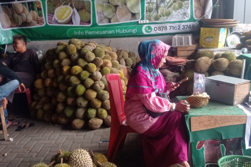 Musim Durian Tiba, Kantong Warga Lebak Ikut Berbuah