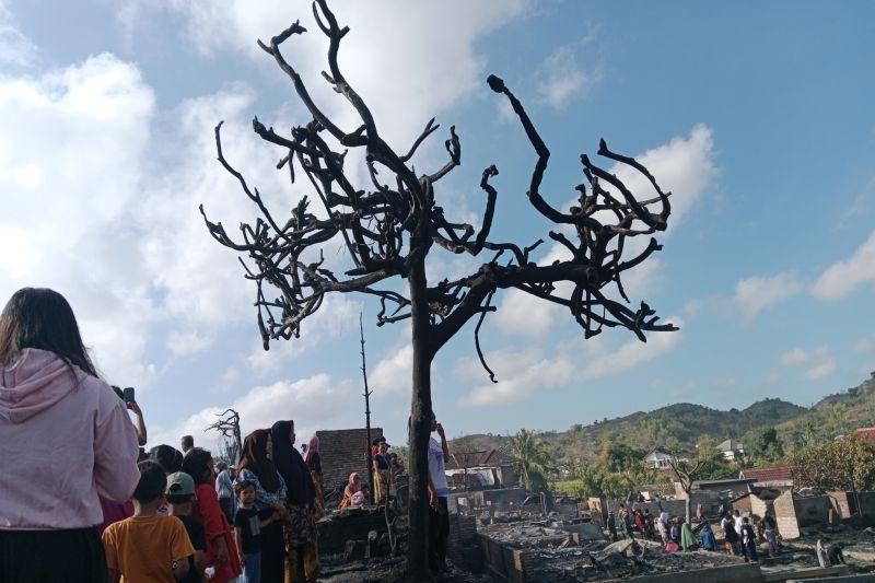 Ratusan Rumah Adat Sade Ludes Terbakar, Pemkab Lombok Ten...