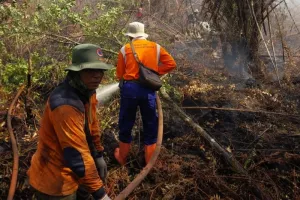 Tim Gabungan Tambah Kekuatan Personel untuk Padamkan Karhutla di Pelalawan Riau