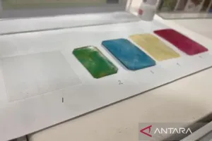 Wow Canggih Terobosan BRIN Ini! Inovasi Kayu Transparan dengan Memanfaatkan Bahan Organik