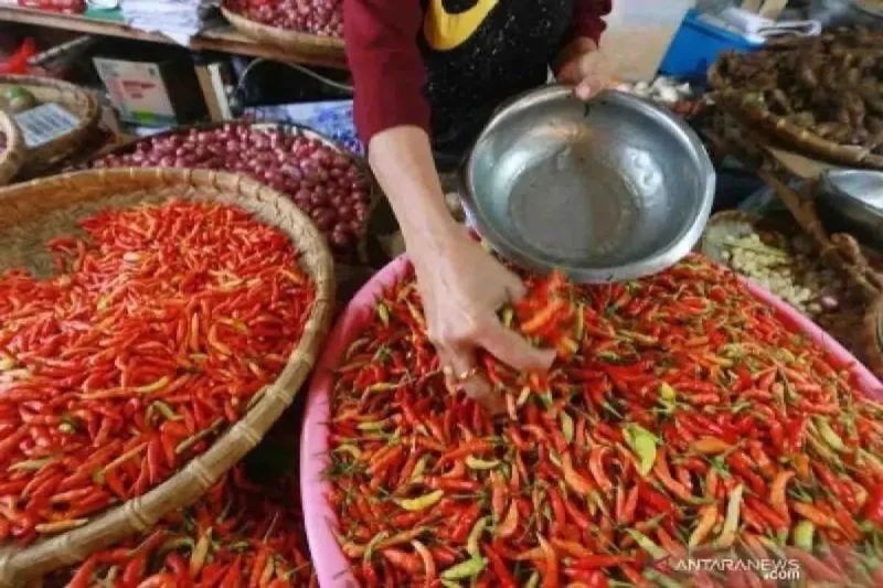 Cabai Rawit Makin Pedas! Harga Capai Rp69.950/Kg dan Telu...