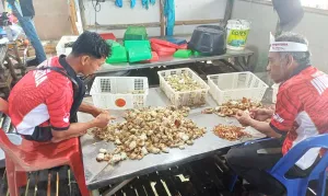 Dinsos Tanjungpinang Buka Ruang Bagi Warga untuk Perubahan Desil