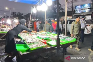 Nasib 193 Pedagang Ikan Kramat Jati Terungkap, Bakal Dipindah ke Lokbin