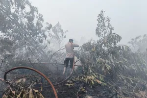 11 Titik Panas Terpantau, Tim Gabungan Intensifkan Pemadaman dan Pendinginan 