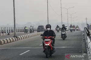 Asap Karhutla Makin Pekat, Penderita Asma Diminta Waspadai Serangan Akut