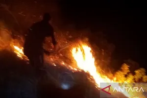 BPBD Katakan Hujan di Kulawi dan Pipikoro Tekan Potensi Karhutla di Sigi