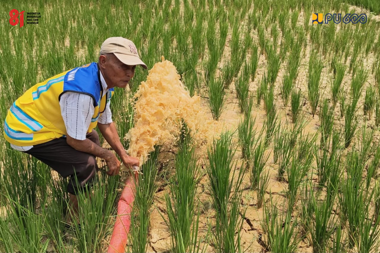 Cegah Gagal Panen, BWS Sumatera VI Alirkan Air ke Lahan Pertanian Terdampak Kekeringan di Sarolangun Jambi