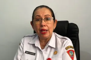 Dinsos Ambon Buka Peluang Adopsi Bayi Terlantar, Ini Syarat dan Prosedurnya