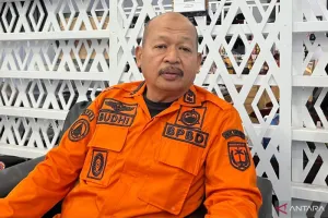 Jangan Bakar Lahan Sembarangan, BPBD Sulteng Ingatkan Ancaman Sanksi Pidana.