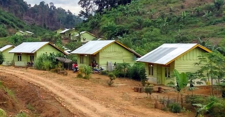 Jangan Salah Kelola! Kawasan Transmigrasi Berpeluang Jadi...