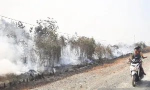 Kabut Asap Karhutla Jadi Pembunuh Diam-Diam, Pakar Ungkap Bahayanya