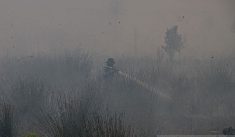 Karhutla Palangka Raya Bakar 428 Hektare Lahan, 336 Kejadian Tercatat hingga Agustus 2026