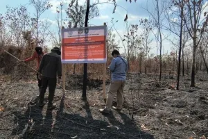 Kemenhut Beri Sanksi 6 Perusahaan yang Sebabkan Karhutla Berulang di Kalimantan