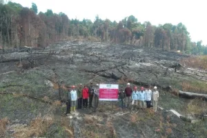 Kemenhut Bertindak! Izin PT MPK Dibekukan Terkait Karhutla Kalbar