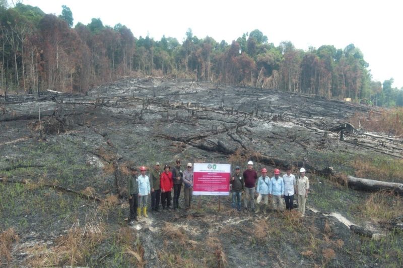 Kemenhut Bertindak! Izin PT MPK Dibekukan Terkait Karhutl...