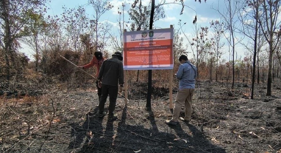 Kemenhut Jatuhkan Sanksi 6 Perusahaan Terkait Karhutla