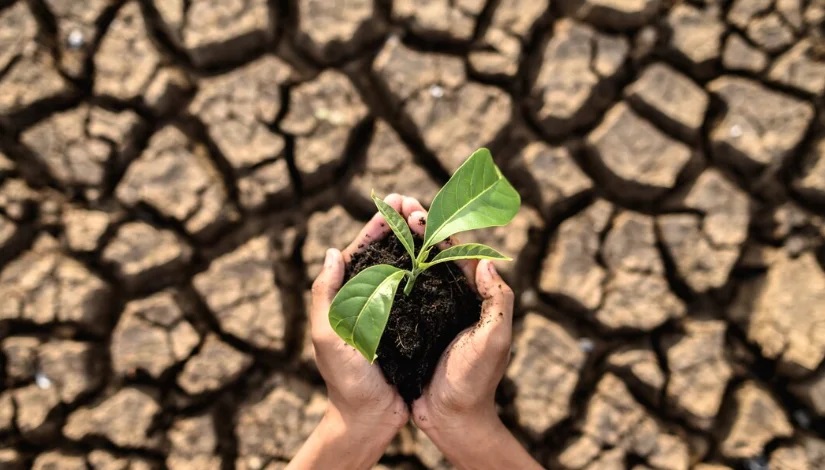 Pakar Sebut Pasokan Pangan Global Terancam Gelombang Pana...