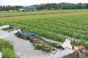 Pemkab Karawang Salurkan Puluhan Pompa untuk Petani Atasi Kekeringan