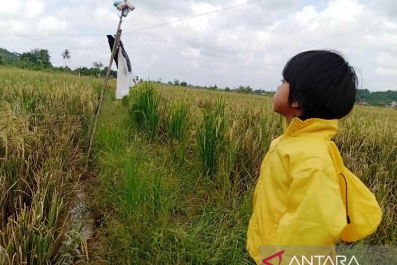 Pemkab Kukar Perkuat Sinergi demi Wujudkan Daerah Pusat P...