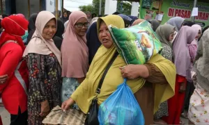 Surplus Beras 3,67 Juta Ton, Mengapa Harga di Daerah Terpencil Masih Mahal?