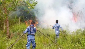 TNI AU Gencarkan Operasi Udara Percepat Pemadaman karhutla di Kalsel