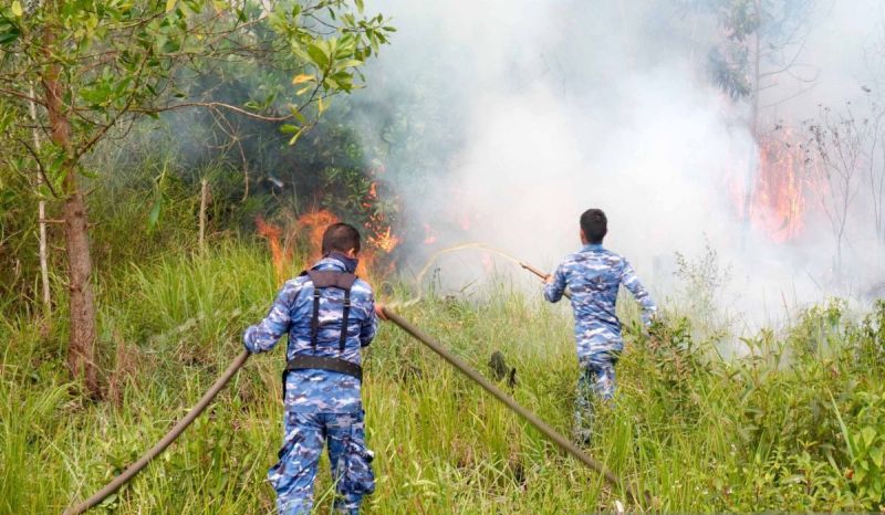 TNI AU Gencarkan Operasi Udara Percepat Pemadaman karhutl...