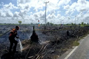 BMKG Kotawaringin Timur Mengingatkan, Kekeringan Masih Berpotensi Meningkat hingga Agustus Akhir