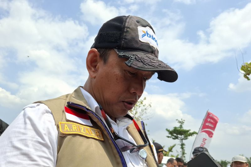 Bulog Kejar Target! Serapan Gabah Nasional Kini Sudah Tem...