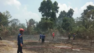 Damkar Lampung Selatan Berjibaku Padamkan Dua Titik Lokasi Karhutla