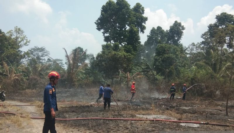 Damkar Lampung Selatan Berjibaku Padamkan Dua Titik Lokas...