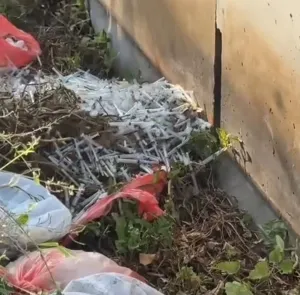 Diduga Limbah B3 Medis, DLH Kota Surabaya Lacak Temuan Ribuan Jarum Suntik di Tambak Sumur Sidoarjo
