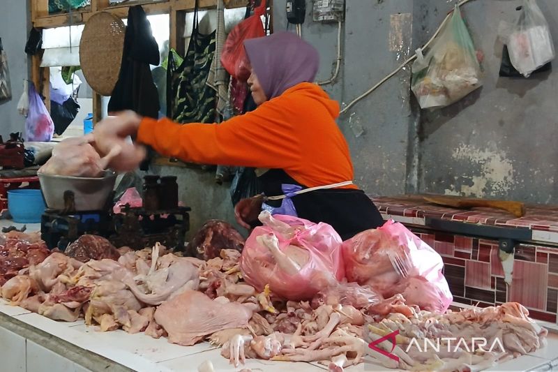 Harga Daging Ayam di Temanggung Melonjak, Ternyata Ini Pe...