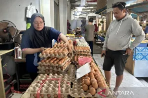 Harga Pangan Melonjak, Telur Jadi Alternatif Lauk bagi Warga