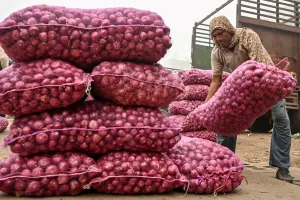 India Tekan Inflasi Bawang Lewat Jalur Kereta Khusus