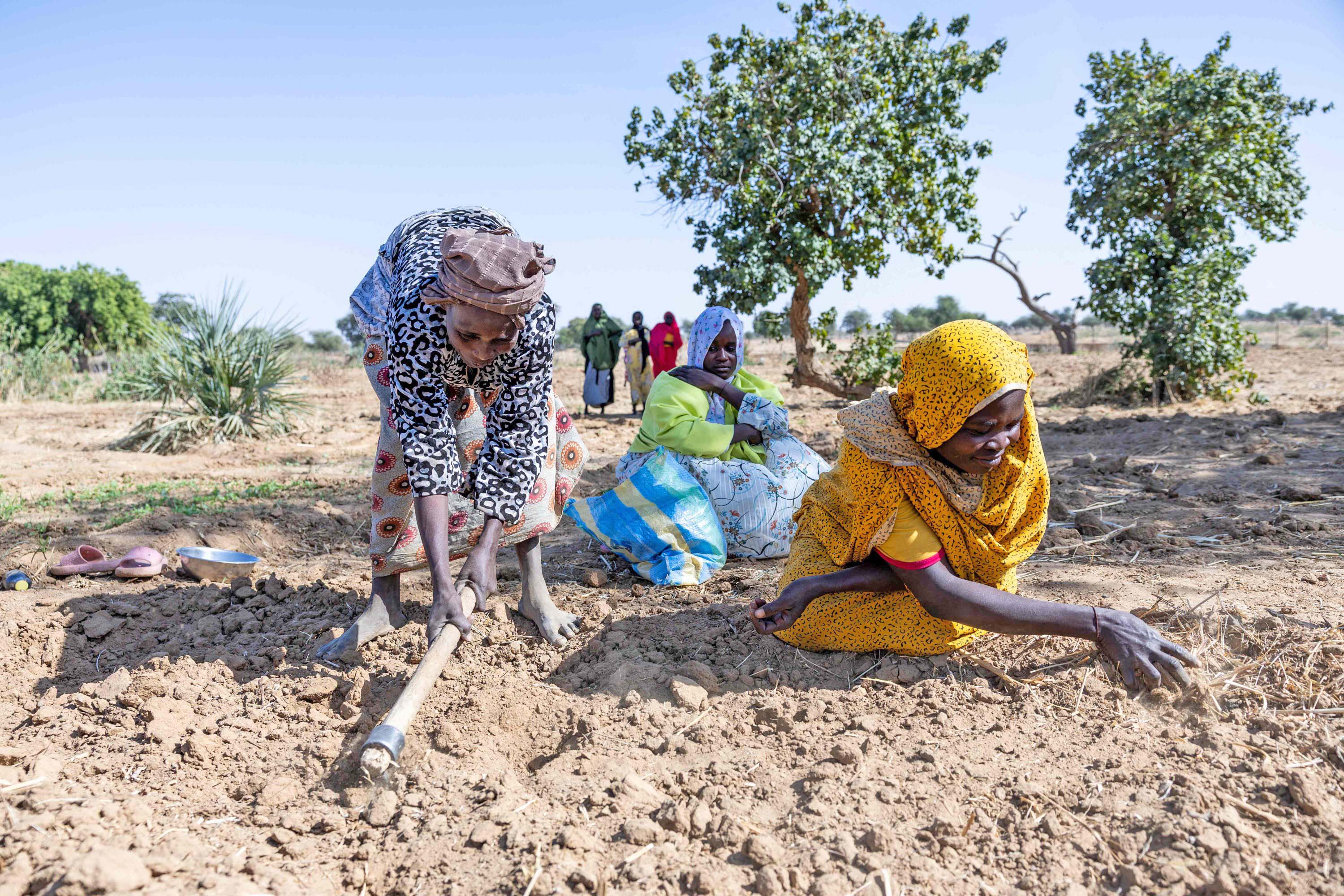 Ironi Abad Modern, Kelaparan di Sudan Dianggap sebagai Ke...