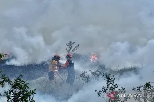 Karhutla Makin Membara, Pur...