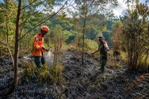 Karhutla Ranupani, BPBD Lumajang Minta Warga Waspadai Titik Api 
