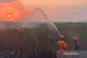 Kebakaran Hutan di Kalimantan: Bencana atau Terencana.