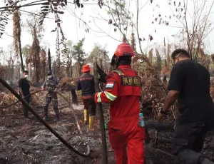 Kemenhut Kerahkan 5.000 ASN Bantu Penanganan Karhutla