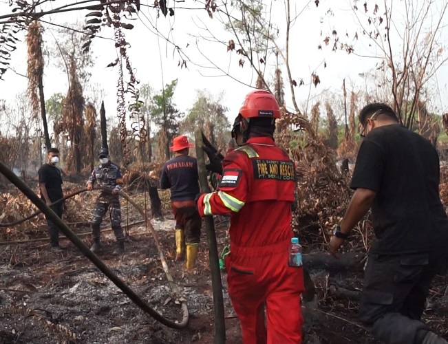 Kemenhut Kerahkan 5.000 ASN Bantu Penanganan Karhutla